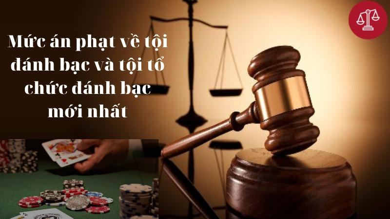 Khám phá tỷ lệ cá cuoc hấp dẫn và bí quyết chiến thắng cho người chơi mới