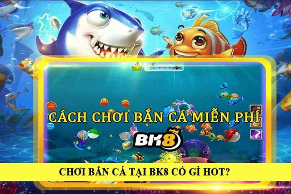 Khám phá cách chơi game đố ngu độc đáo để rèn luyện trí thông minh và vui chơi cùng bạn bè