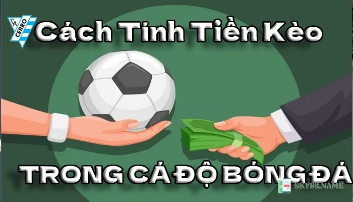 Khám phá cơ hội thắng lớn cùng Bonus Deuces Wild hấp dẫn năm 2024