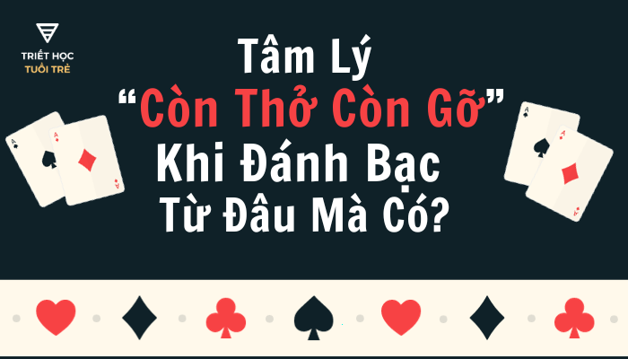 Hướng dẫn cách tải Garena cho Android nhanh chóng và dễ dàng