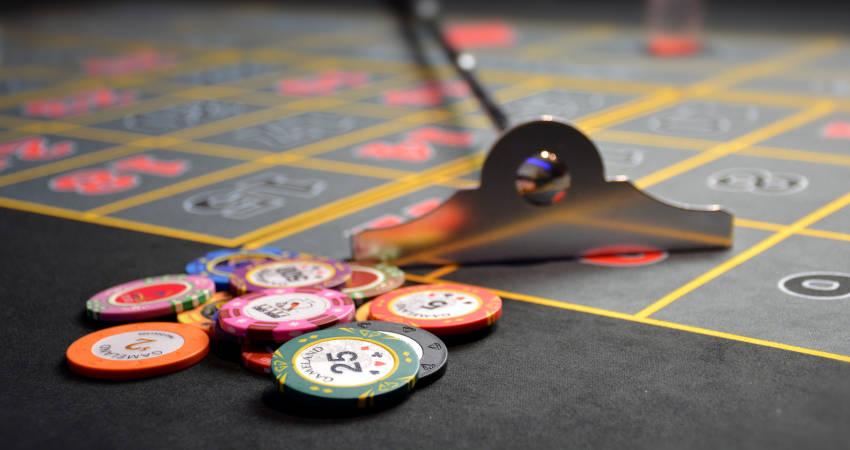 Khám phá game rắn hổ long cực hấp dẫn tại rắn hổ long dành cho người chơi mới