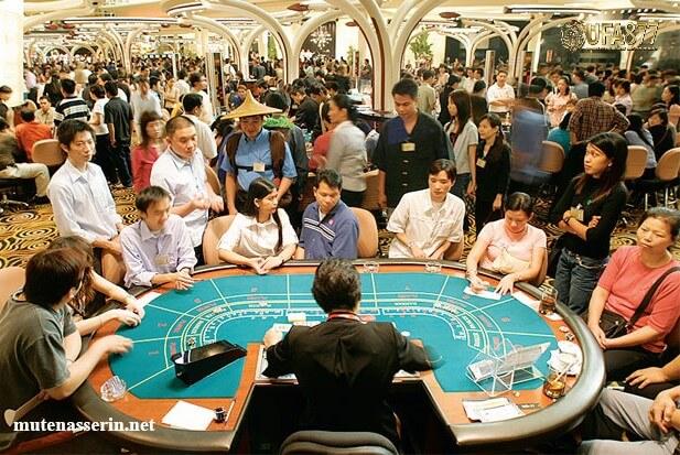 Cách xếp cờ vua chuẩn dành cho người mới học cách xếp cờ vua nhanh và chính xác